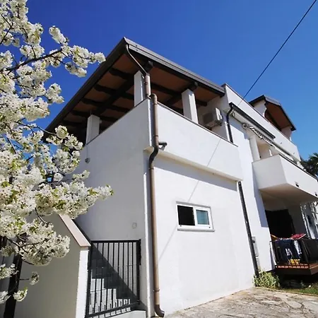 Mira Πανσιόν Novigrad Istria