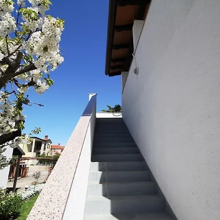 Mira Guest house