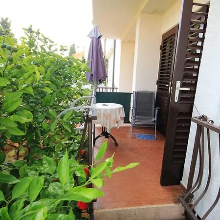 Πανσιόν Mira Novigrad Istria